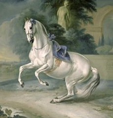von Hamilton, The white stallion Leal en Levade